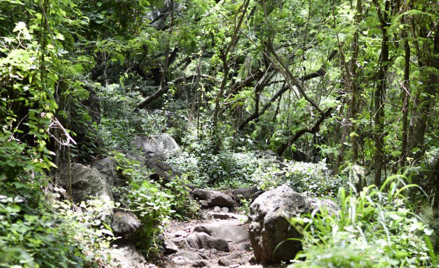 Rocky terrain of Kealia Trail.