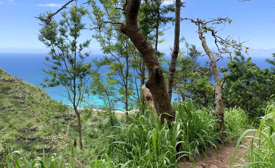 The views are best on the way up. Once you get to the picnic table the views are blocked by the trees.