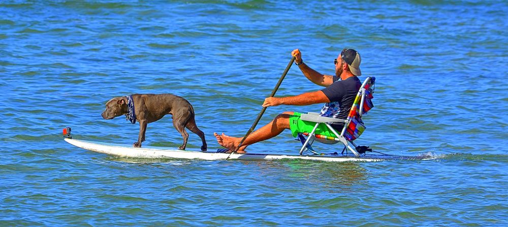 A man taking his dog for a walk on his paddle board in Maui, Hawaii.