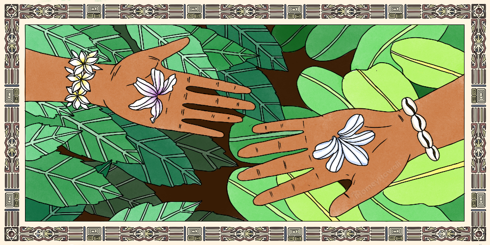 Legend of Naupaka - Two hands holding naupaka flowers: male hand holding beach naupaka and female hand holding mountain naupaka.