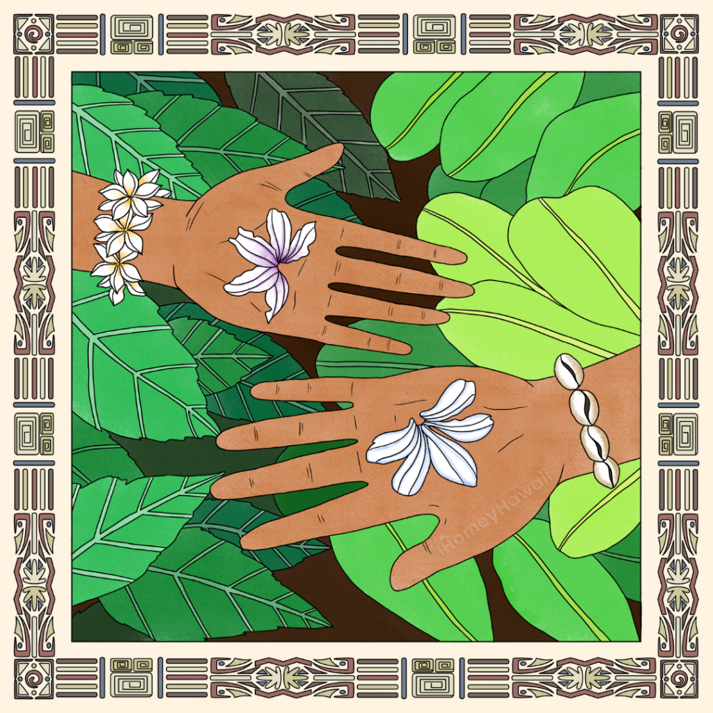 Legend of Naupaka - Two hands holding naupaka flowers: male hand holding beach naupaka and female hand holding mountain naupaka.