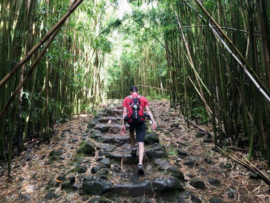 On Pipiwai trail - bamboo tunnel.