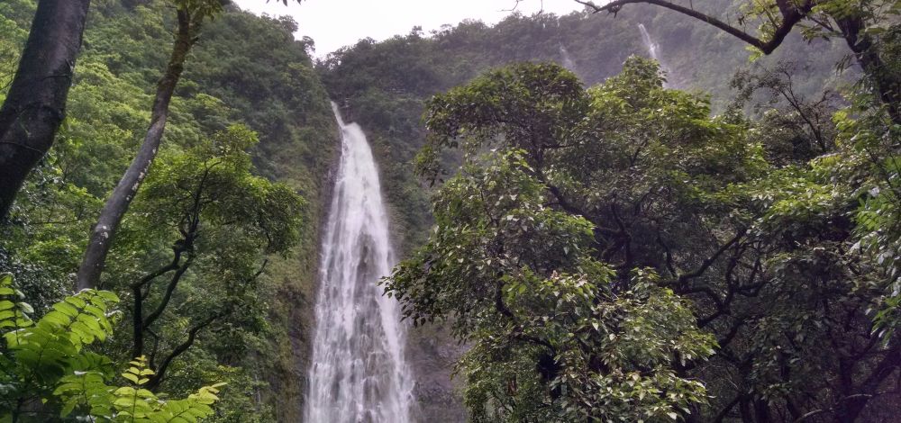Waimoku Falls at the end of Pipiwai trail on Maui.