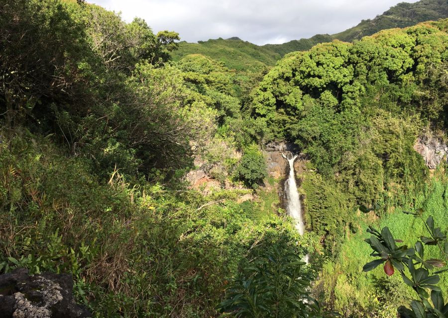 The view of a chloroplast filled canyon and the 200 foot Falls at Makahiku.