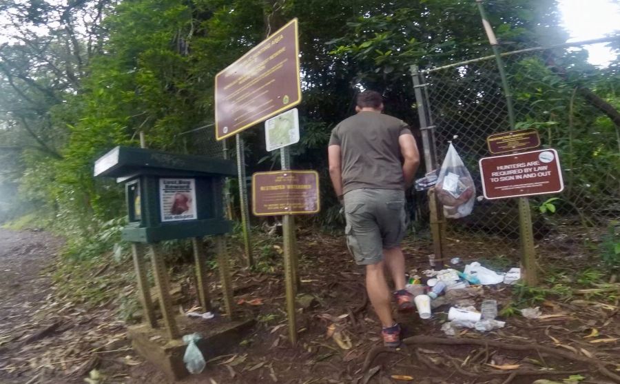 Start of the Luakaha Trail