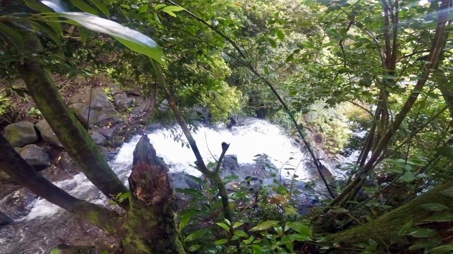 Looking down from the top of Luakaha Falls