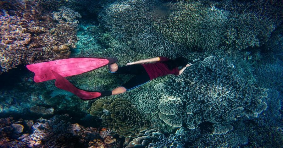 Snorkeling in Lahaina