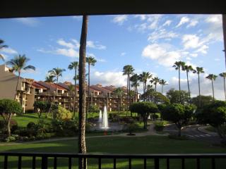 Enjoy this beautiful view and peek a boo of partial ocean view and seeing island of Kahoolawe