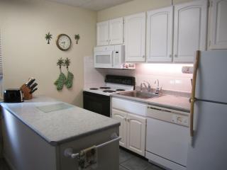 Upgraded kitchen with built in micro wave, filtered drinking water, a dishwasher and most everything needed to prepare any meal