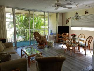 Our living room with view to the gardens, a 40 inch TV, a new sofa bed with queens size mattress, and side windows for extra light and enjoying the tropical breezes