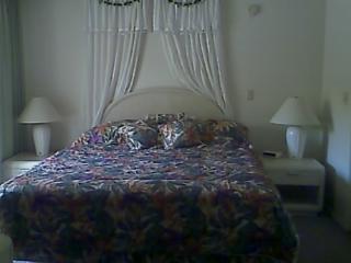 Master bedroom has a king bed.