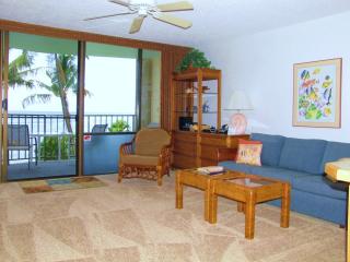 Valley Isle 307: View of Living Area of Studio 307