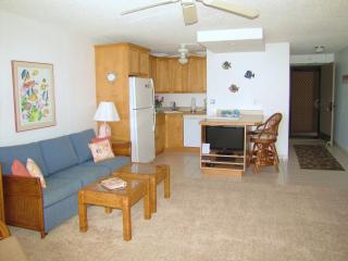 Living area & Kitchen Looking in from the lanai