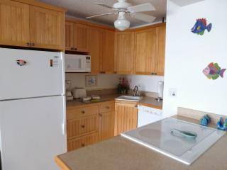 307 Kitchen includes full range with oven, dishwasher, microwave, refrigerator with ice maker, disposal, and all the dishes and cookware you will need.