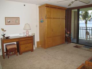 Queen Murphy bed folds up during the day for an open living space.