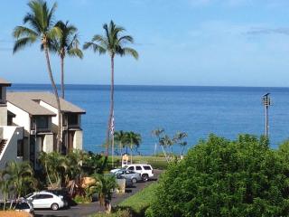 View off the lanai