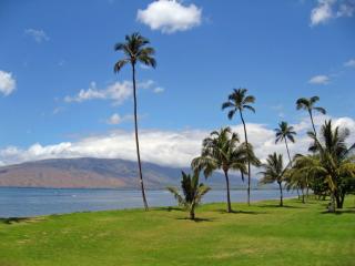 Maui Sunset A-409: Ocean front with a large grassy area and view looking north to W. Maui Mountains