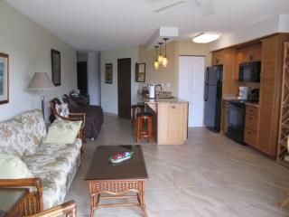 Living room area and upgraded kitchen with all new appliances