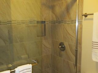 All new tiled shower and glass doors in master bathroom