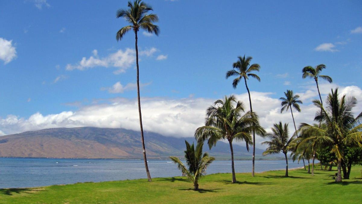 Ocean front with a large grassy area and view looking north to W. Maui Mountains