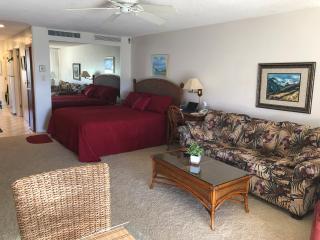 Maui Eldorado J-219: View from seating area