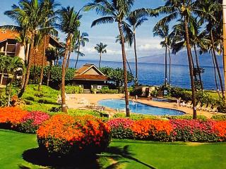 Papakea Resort F-104: view of grounds