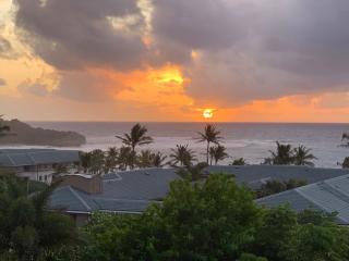 Sunrise view from the Orchid House; Shipwreck Cliff on the left