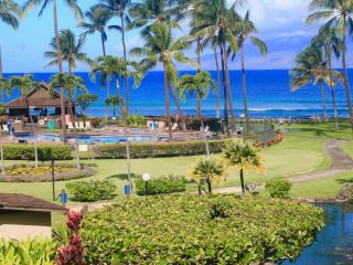 Papakea Resort H-304: 