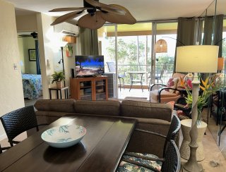 Living/dining room with a/c and smart TV opens to lanai