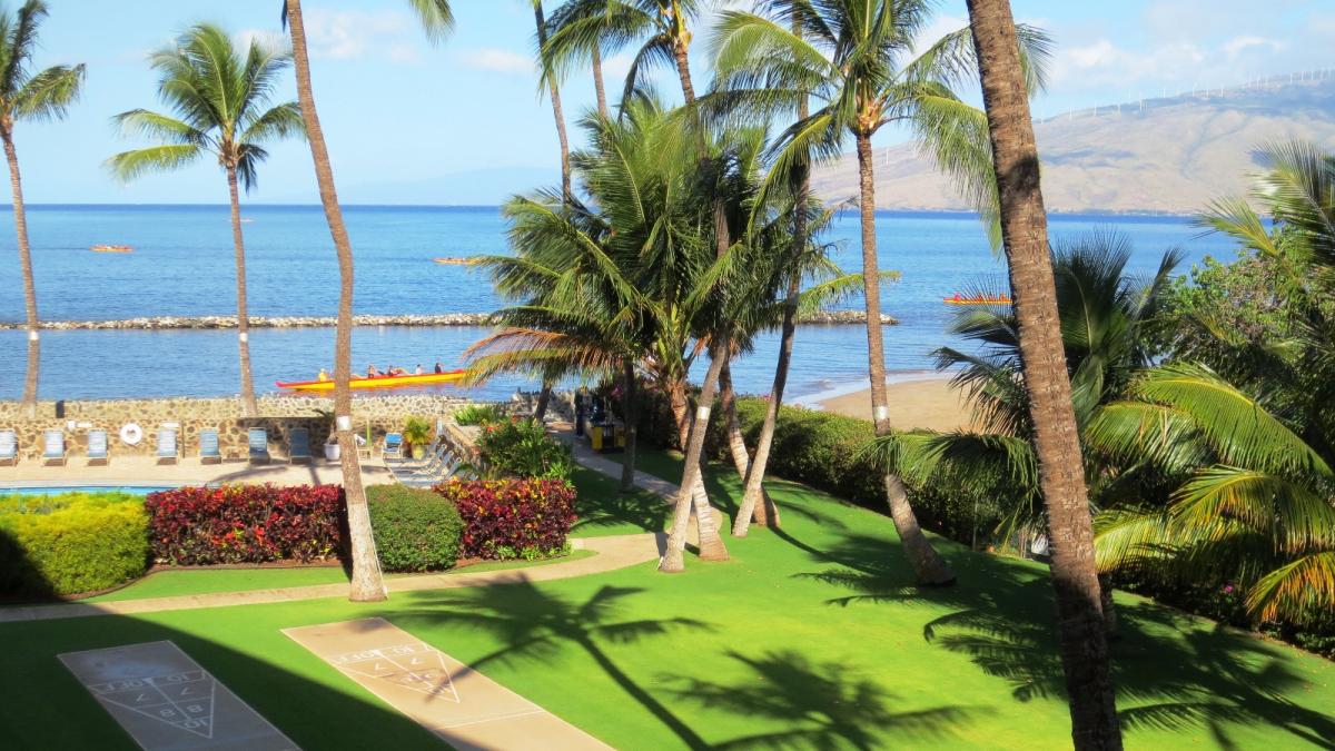 Morning view of outrigger canoes from our lanai