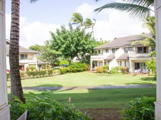 View from the Lanai