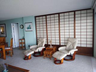 Shoji doors divide the living room from the master bedroom if privacy is required.