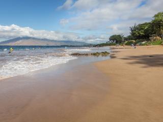 Kamaole Sands 6-109: Kamaole Beach Park III is just a short walk through the gardens.