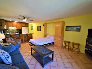 Living area with Murphy bed.