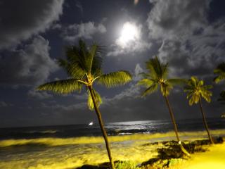 Evening moon glow from your condo